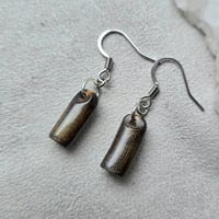 鹿の角 アンモライトのピアス | 鹿角工房～イランカラプテ～
