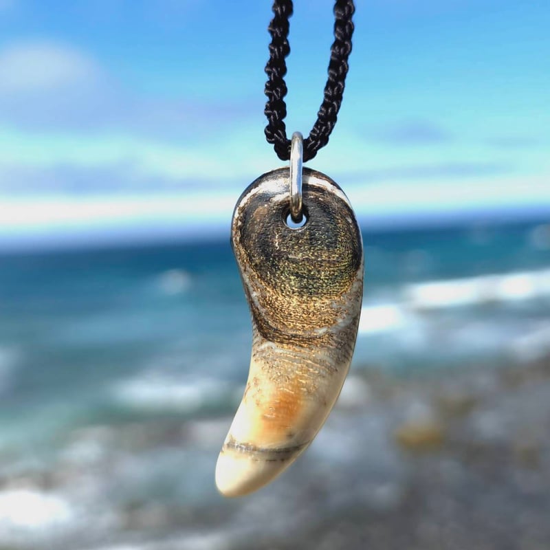 虹彩珊瑚の首飾り【special one】 | 鹿角工房～イランカラプテ～