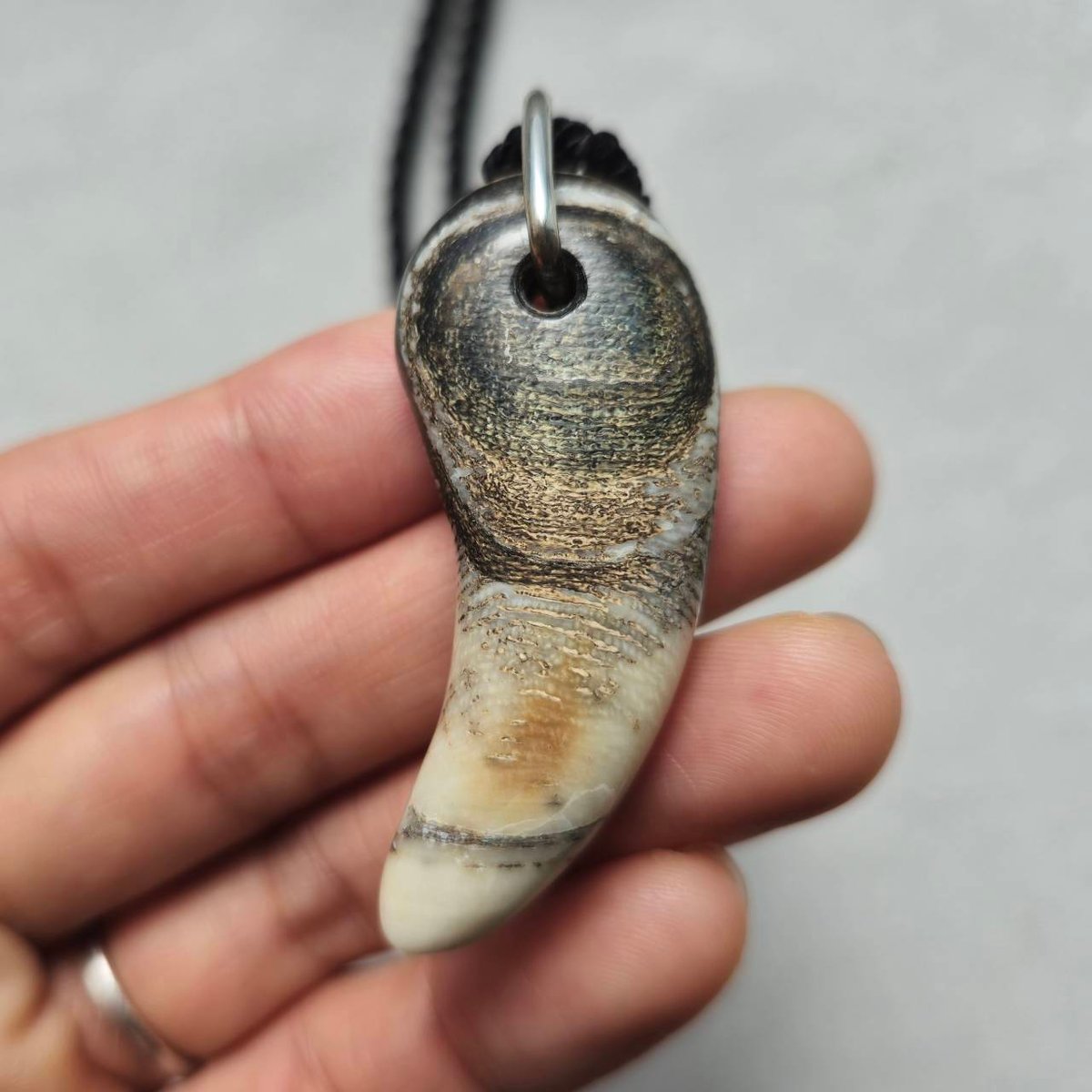 ナチュラルサンゴのイヤリングと ペンダントトップ ナチュラルサンゴのイヤリングと ペンダントトップ ナチュラルサンゴの