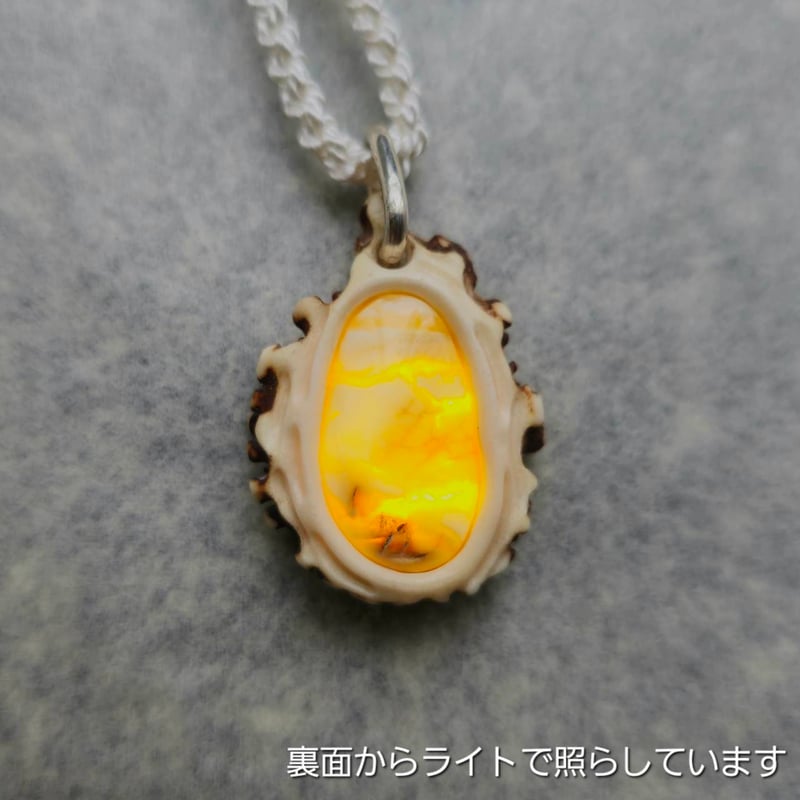 鹿の角 ロイヤルアンバーのペンダント | 鹿角工房~イランカラプテ~ 鹿の角 ロイヤルアンバーのペンダント | 鹿角工房~イランカラプテ~