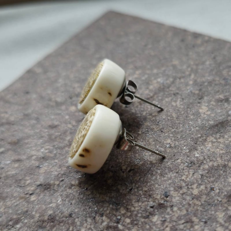 14kgf 縦割り♪フォッシルコーラル ピアスチャーム 鹿の角 フォシル