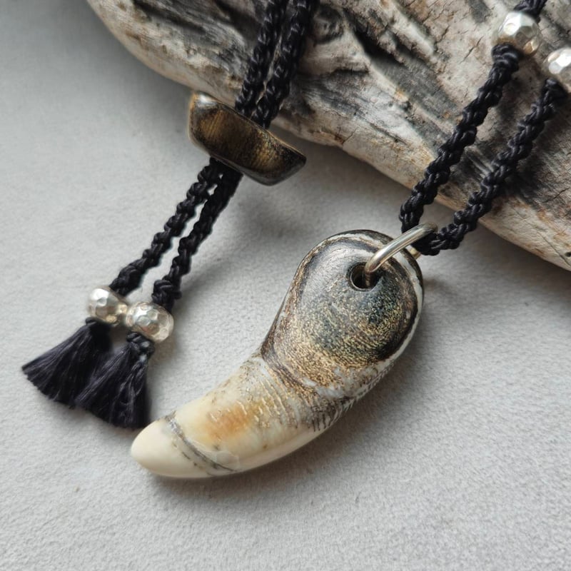 虹彩珊瑚の首飾り【special one】 | 鹿角工房～イランカラプテ～