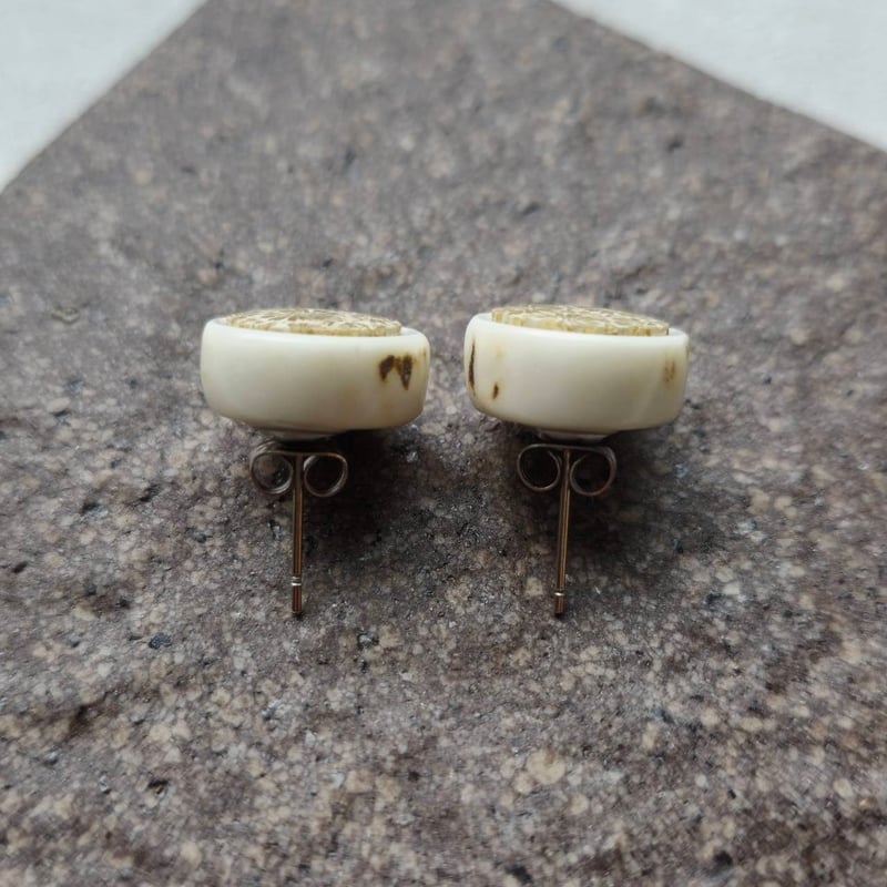 鹿の角 フォシルコーラルのピアス | 鹿角工房～イランカラプテ～