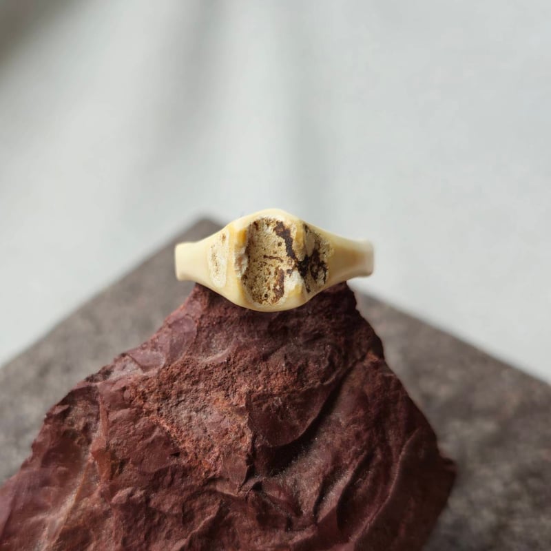 鹿の角 プレーンリング natural 約22号 | 鹿角工房～イランカラプテ～