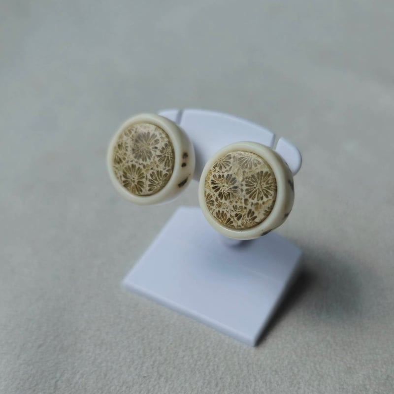 鹿の角 フォシルコーラルのピアス | 鹿角工房～イランカラプテ～