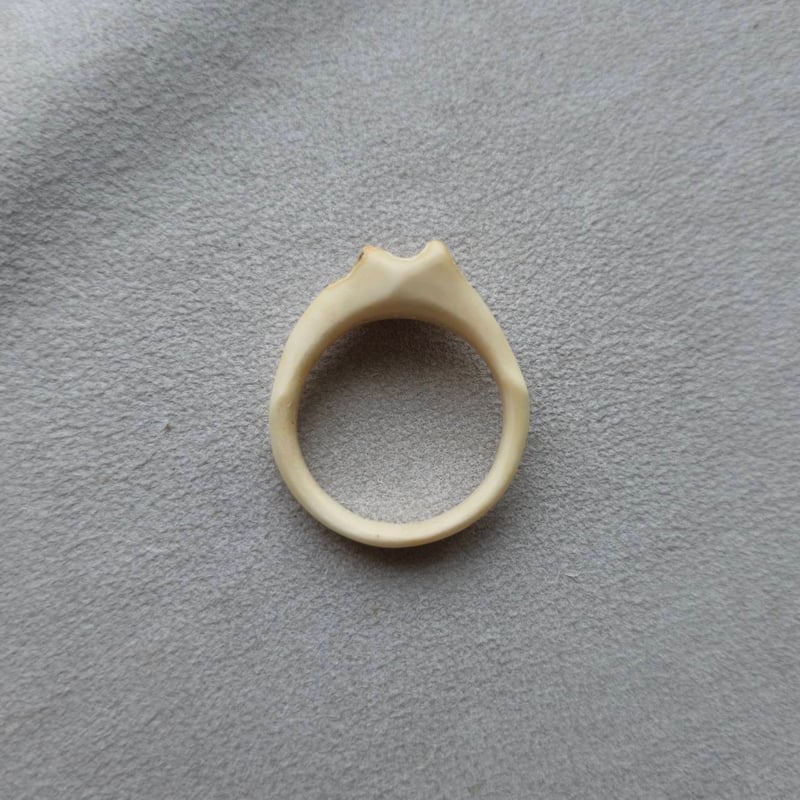 鹿の角 プレーンリング natural 約22号 | 鹿角工房～イランカラプテ～