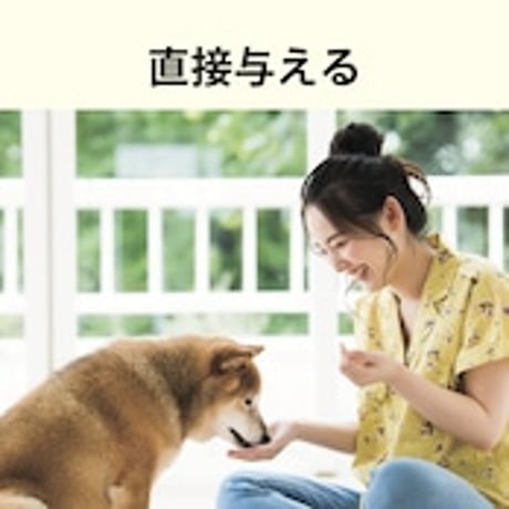 NMNわんにゃんサプリGood