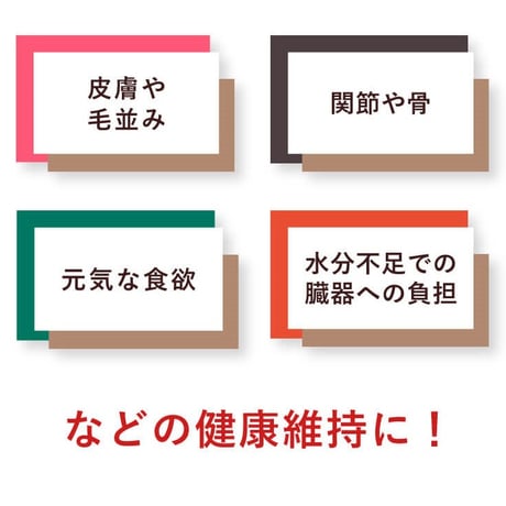 濃厚鶏ボーンブロス！　Belii.(ベリー)