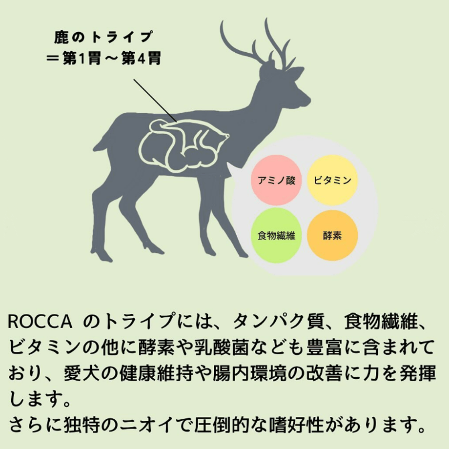 68ec7068fbf9f74cdc341538