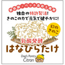 676cce1953ff9f0225fdcd78
