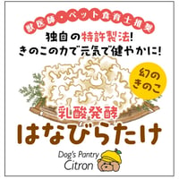 幻のきのこ！乳酸発酵はなびらたけパウダー！