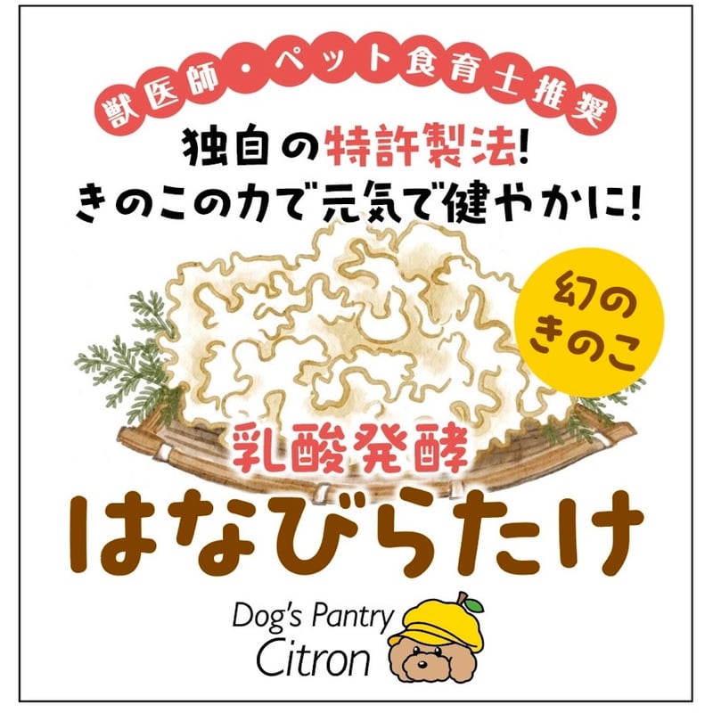 幻のきのこ！乳酸発酵はなびらたけパウダー！ | Dog's Pantry Citron