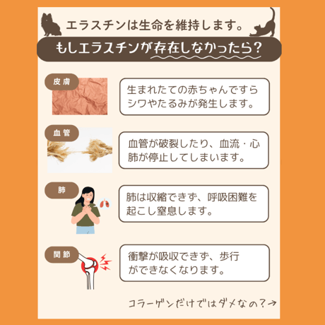 コラーゲンだけはもう古い！？　最高品質エラスチン+コラーゲン　-ITSMO-イッツモ