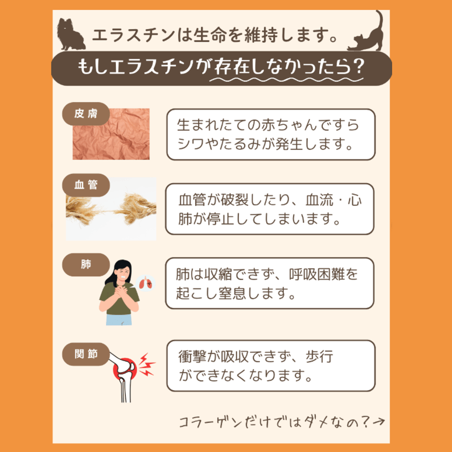 68f8fdbc3fed3cd85671ebb0