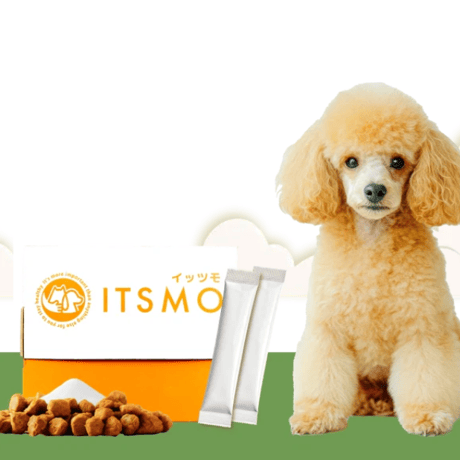 CATEGORY 関節ケアにおすすめ！ | Dog's Pantry Citron