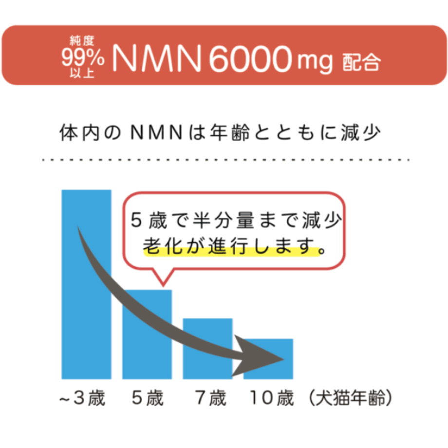66b496cb646cf1063a49fd1a