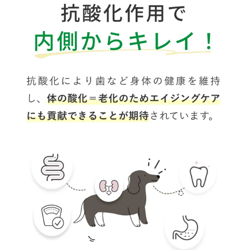 愛犬健康サポート甘酒『COZY MILK! カラダシルク in』 ※シルクフル2.7