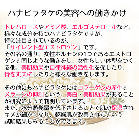 幻のきのこ！乳酸発酵はなびらたけパウダー！