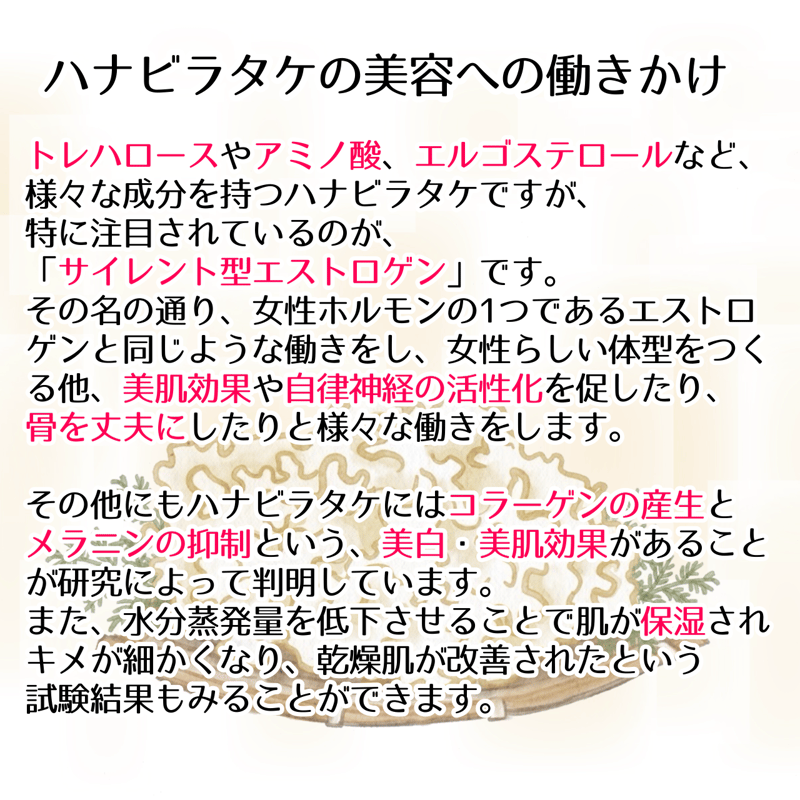 幻のきのこ！乳酸発酵はなびらたけパウダー！ | Dog's Pantry Citron