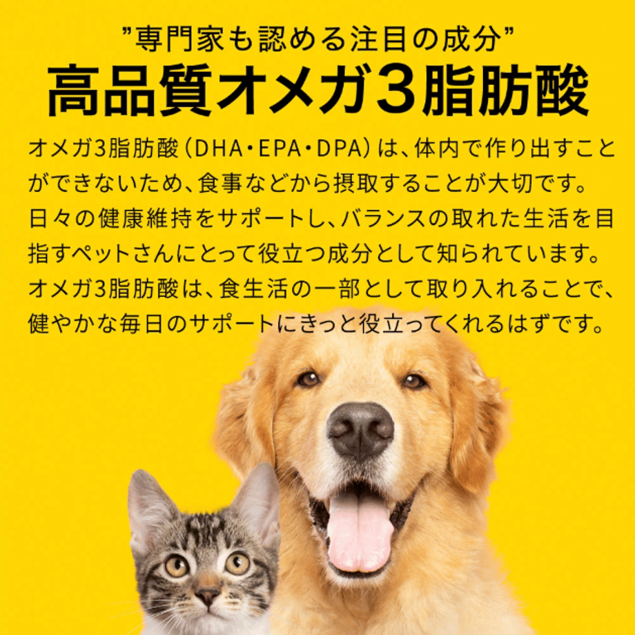 66c8747369f94d1354df7338