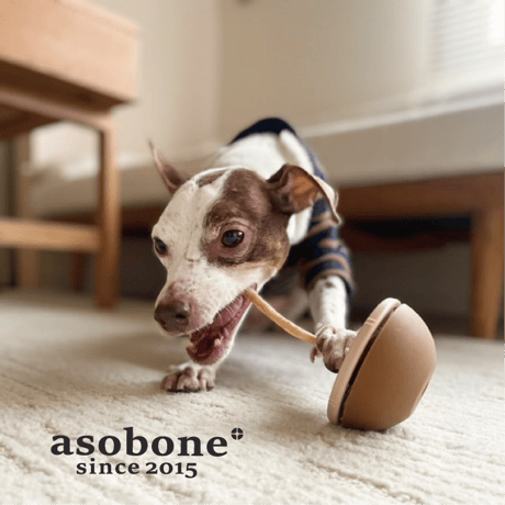 セルフかみかみ補助おもちゃ！asobone（アソボーン）　ハードCAPセット