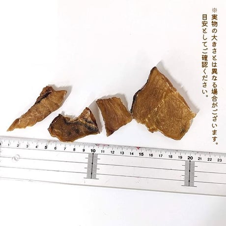ちょうどいい固さ♪　気仙沼サメジャーキー