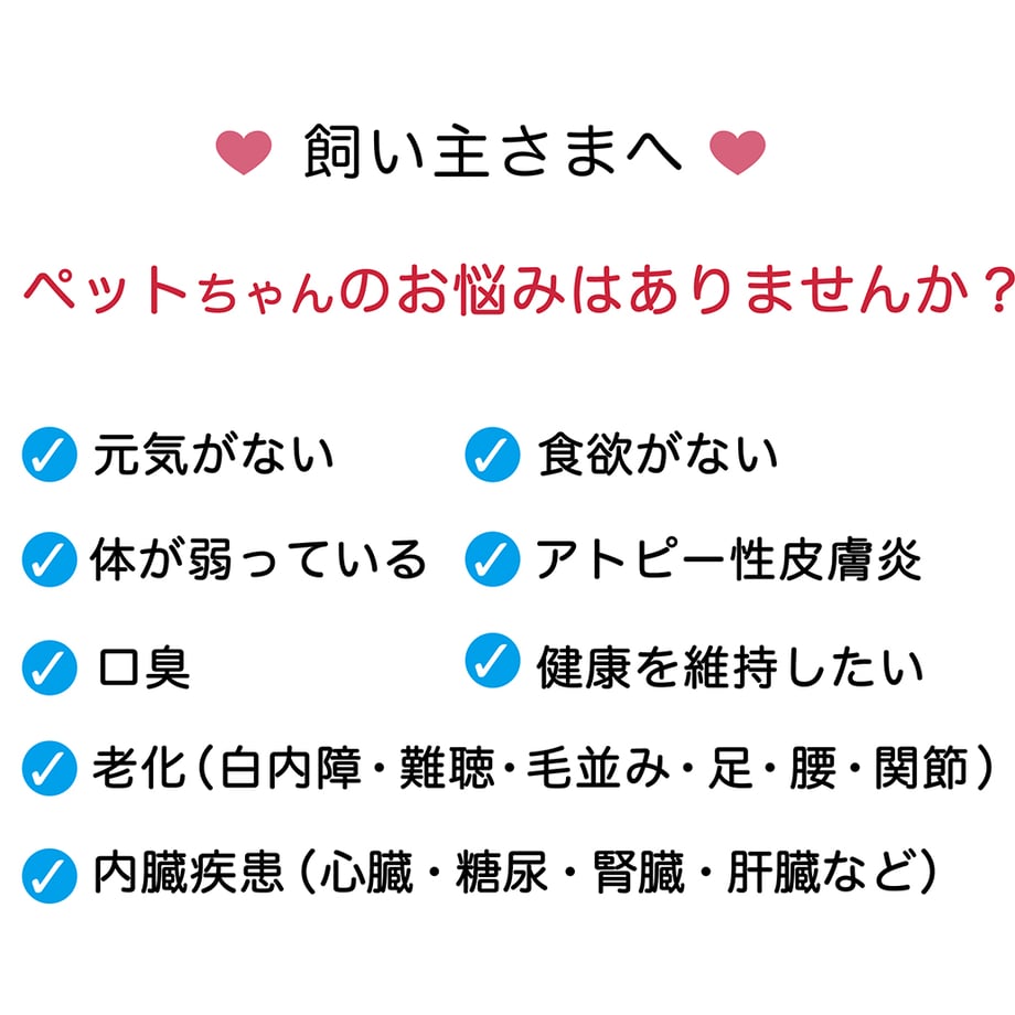 66b496cb646cf1063a49fd1a