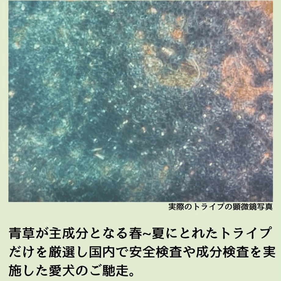 68ec7068fbf9f74cdc341538