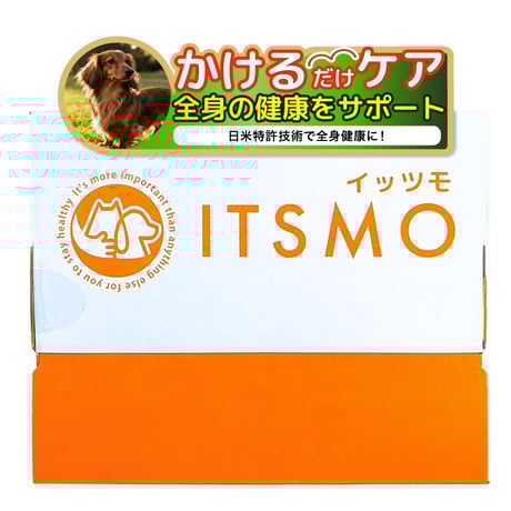 CATEGORY 腸活、免疫力におすすめ！ | Dog's Pantry Citron