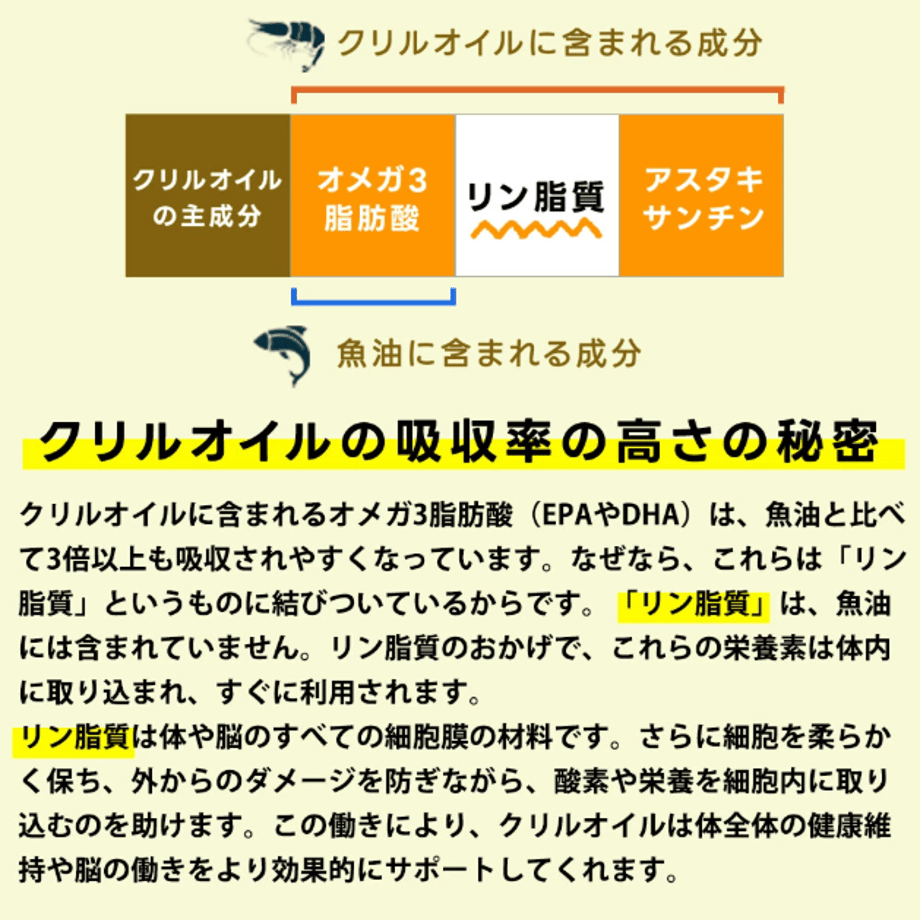 688eef213e0c06cdb2b61753