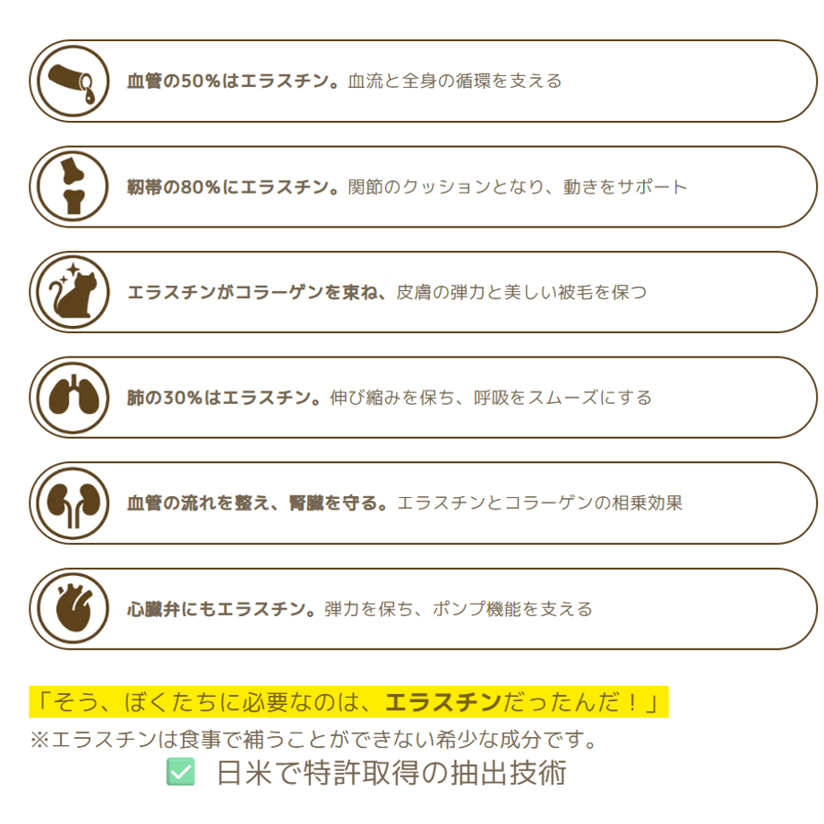 68f8fdbc3fed3cd85671ebb0