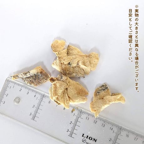他にはないフリーズドライ技術！　真鯛！
