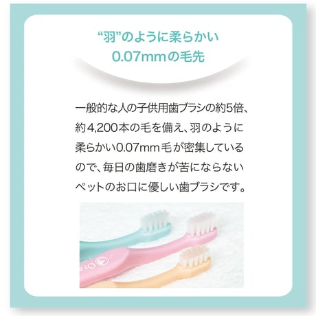 オーラバイオブラシ　中毛タイプ（歯科衛生士推奨）