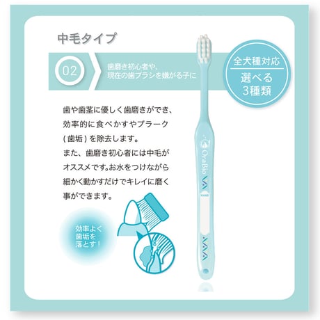 オーラバイオブラシ　中毛タイプ（歯科衛生士推奨）