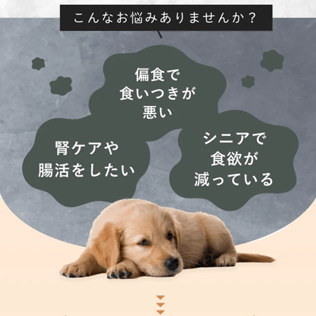 SILKFULL/シルクフル入り 犬用フード！　タラ味