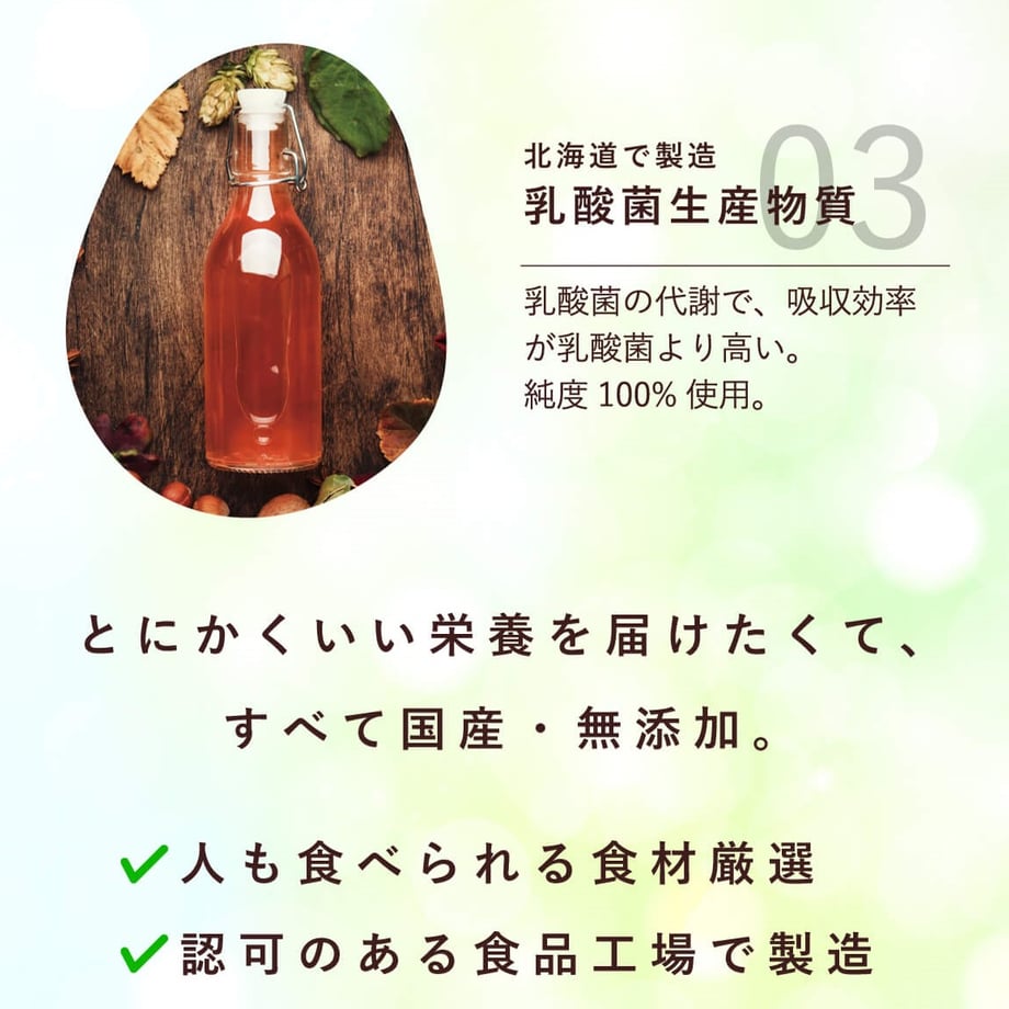 66bcc7ce2200bb052dc26953