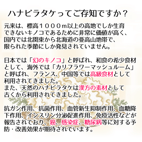 幻のきのこ！乳酸発酵はなびらたけパウダー！