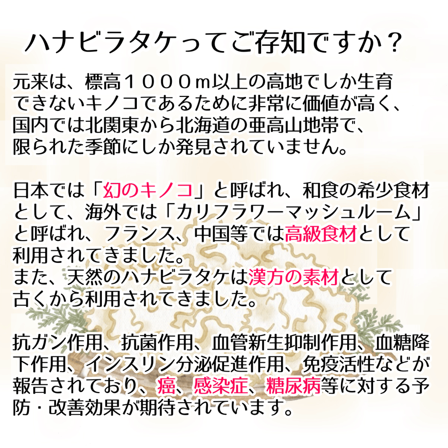 676cce1953ff9f0225fdcd78