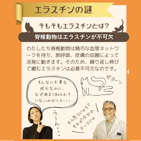 コラーゲンだけはもう古い！？　最高品質エラスチン+コラーゲン　-ITSMO-イッツモ