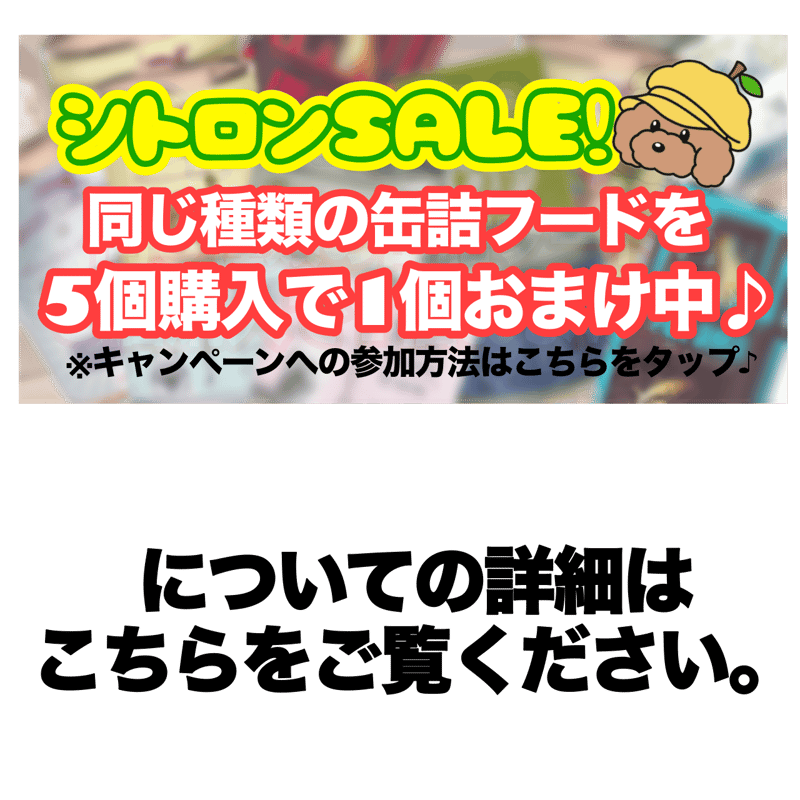 5＋1キャンペーンのルール説明【こちらは商品ではありません 