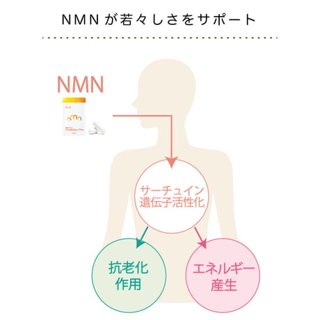 NMNサプリ　ミライ（カプセル増量！90粒入り）
