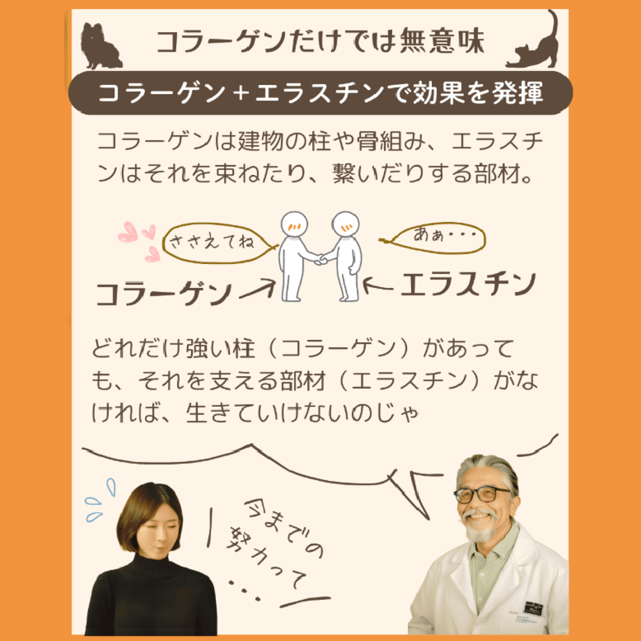 68f8fdbc3fed3cd85671ebb0