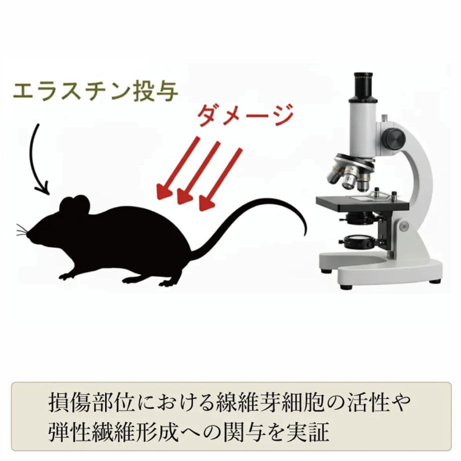 68f8fdbc3fed3cd85671ebb0