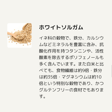いま一押しの手作りご飯ベース！！GOWAN TOPPING