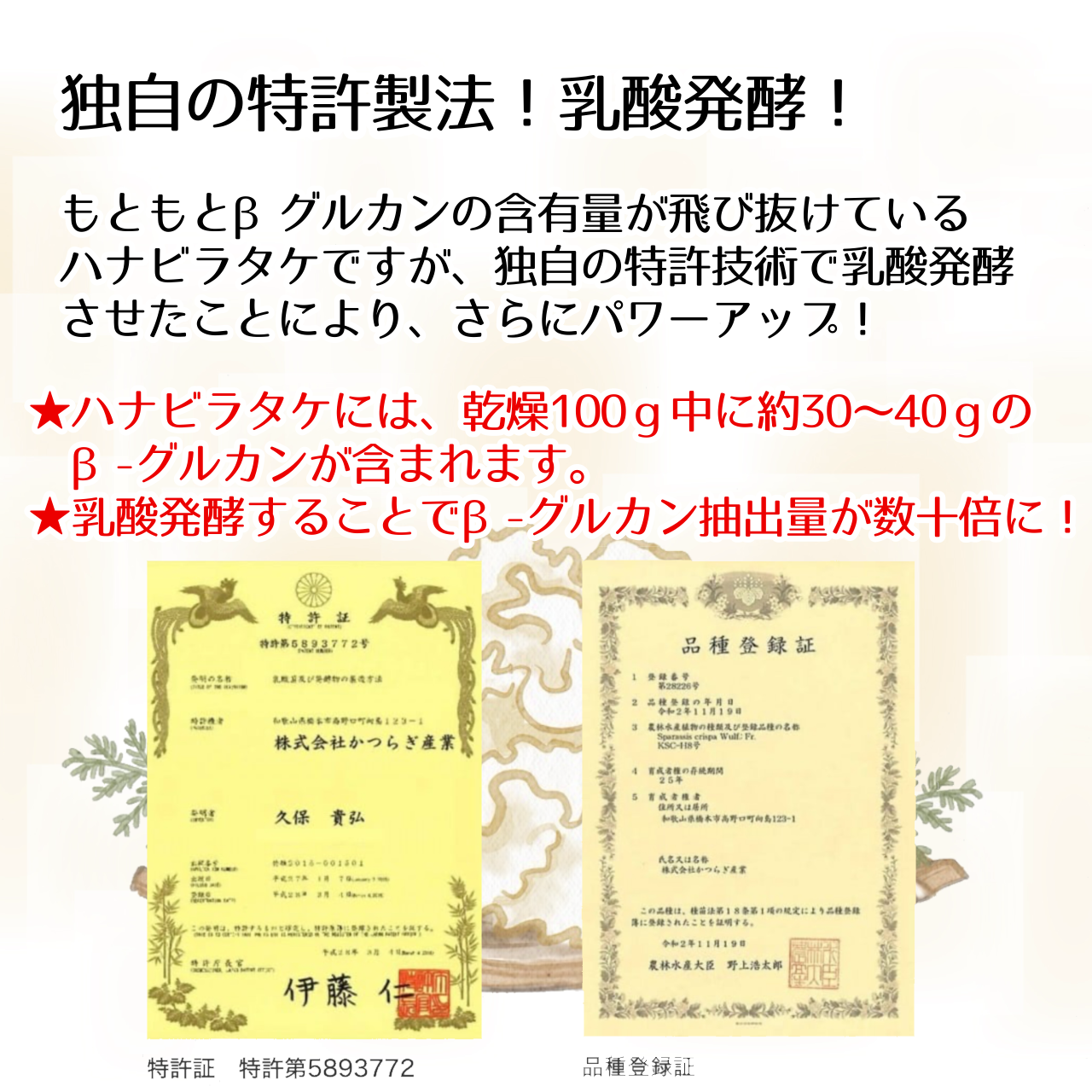 特許製法】幻の万能きのこ！乳酸発酵はなびらたけパウダー！ ※冷凍商品