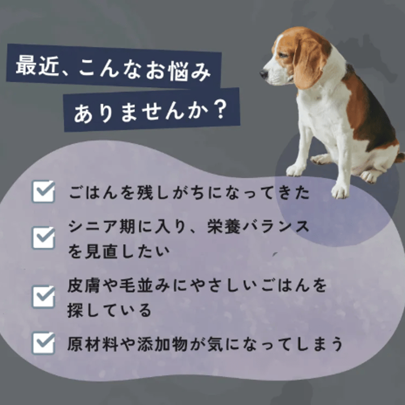 高品質ウェットフード！ PETOKOTO フィッシュ（タラ） 100g ※只今より