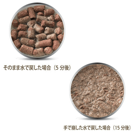 K9Natural　フリーズドライ　ラム＆キングサーモン・フィースト  500g