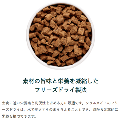 SoulMate DOG　脂質低めでコスパ良しなフリーズドライ 　レッドミート
