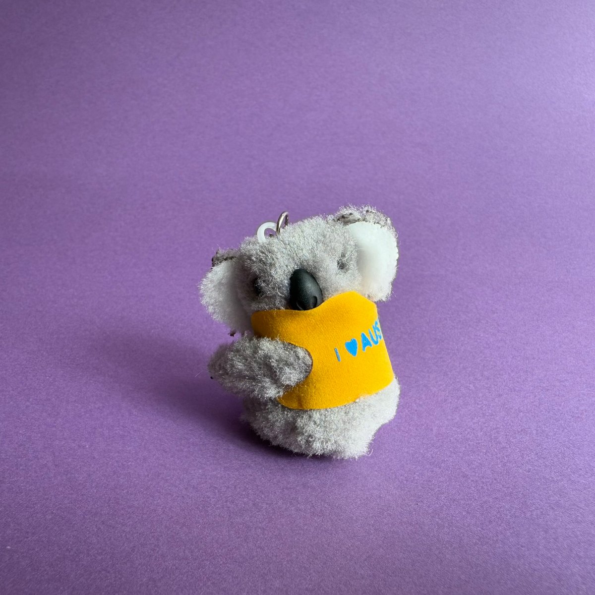 adorno コアラ coala adorno コアラ coala コアラのコア Koa the Koala