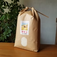 かをりしぐれ白米5kg